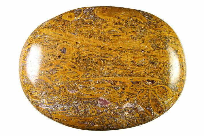 Polished Miriam Stone Palm Stone - India #342293